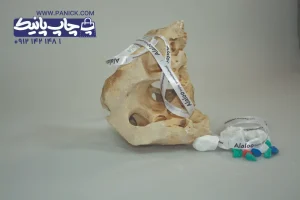 بند گردن آویز alaloo