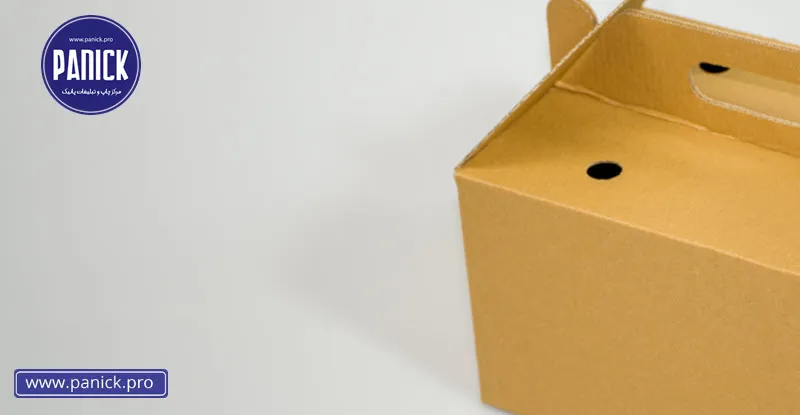 جعبه آماده برای بدلیجات