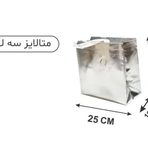 ساک نقره ای متالایز 10×25×25