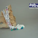 بند گردن آویز برند پراژین