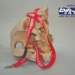 بند گردن آویز تویوتا