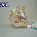 بند گردن آویز alaloo