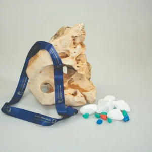 بند گردن آویز بهداشتی آرایشی