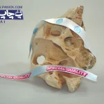 روبان طوسی با چاپ قرمز special quality