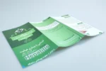 بروشور 3 لت گلاسه HEPATITIS سبز تیراژ 1000 عددی