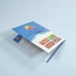 بروشور 200 گرمی 2 لت گوهر ناب اشکور تیراژ 1000 عددی